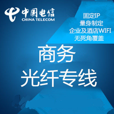 专线电路和典型组网结构(图1)